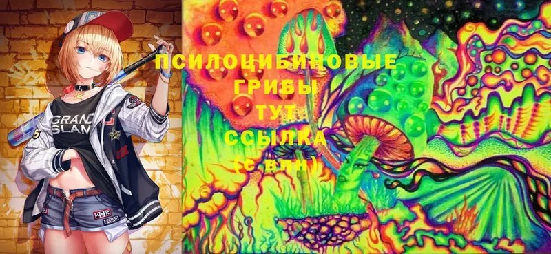 Галлюциногенные грибы MAGIC MUSHROOMS  Венёв 