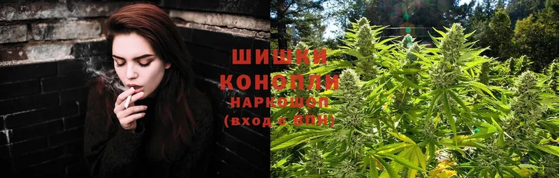 Каннабис THC 21%  как найти закладки  Венёв 